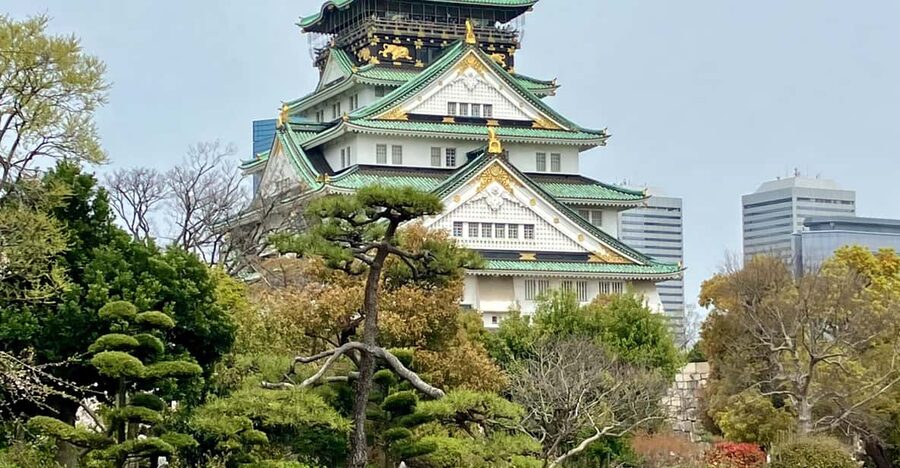 Osaka: Private and Fully Customized Tour with Hotel Meet Up - Dotonbori: Osaka’s famous finish
