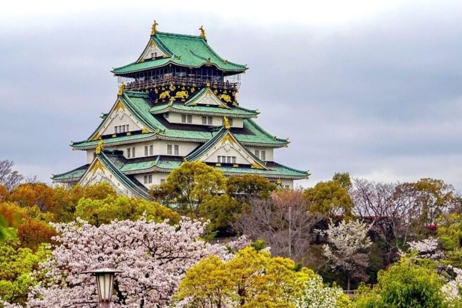 Osaka: Private Custom Walking Tour with a Local Guide - The guide makes the experience