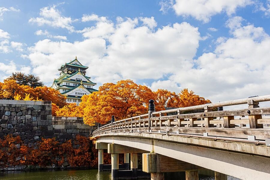 Osaka Private Tour with Government-Licensed Guide - Build the route around your actual interests