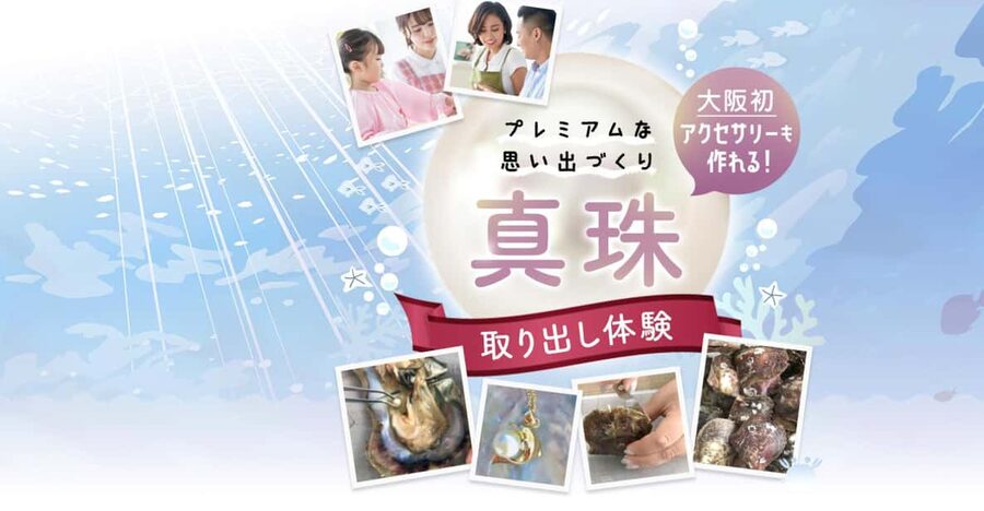 Osaka Shinsaibashi Pearl extraction experience - Opening an Akoya oyster in Shinsaibashi