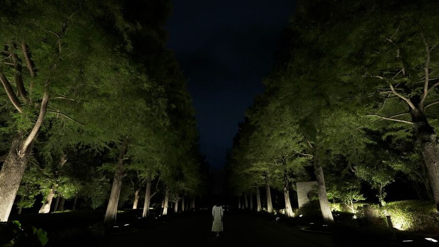 Osaka: teamLab Botanical Garden Entry Ticket - Why teamLab’s garden setting works so well