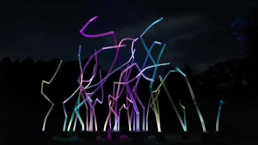 Osaka: teamLab Botanical Garden Entry Ticket - Starting with Nagai Botanical Garden’s 1,200 species