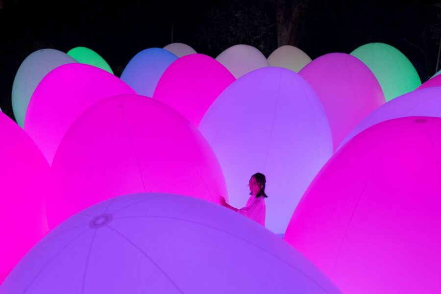 Osaka: teamLab Botanical Garden Entry Ticket - How interactive are the installations?