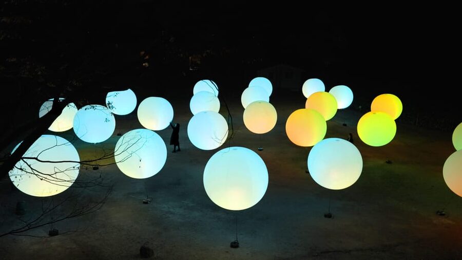 Osaka: teamLab Botanical Garden Entry Ticket - Planning your route through 240,000 square meters