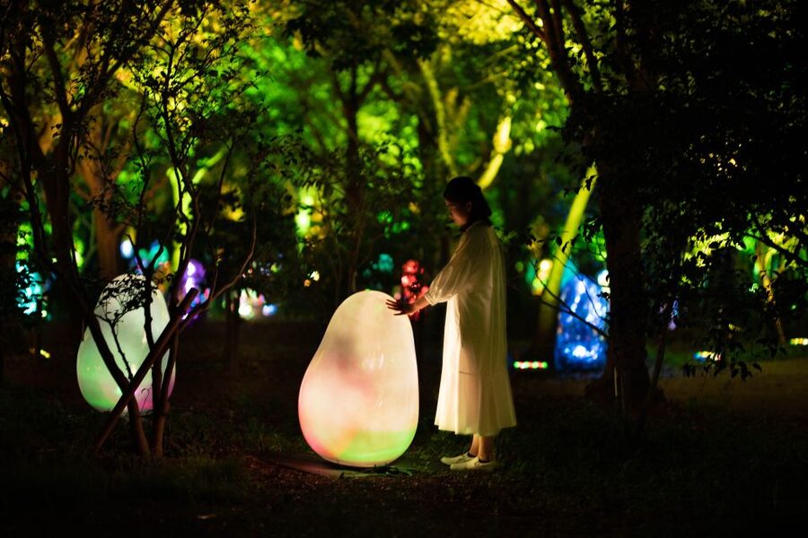 Osaka: teamLab Botanical Garden Entry Ticket - Getting there and getting home