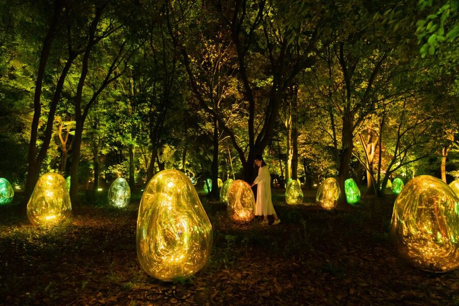 Osaka: teamLab Botanical Garden Entry Ticket - Crowds, timing, and the best pace