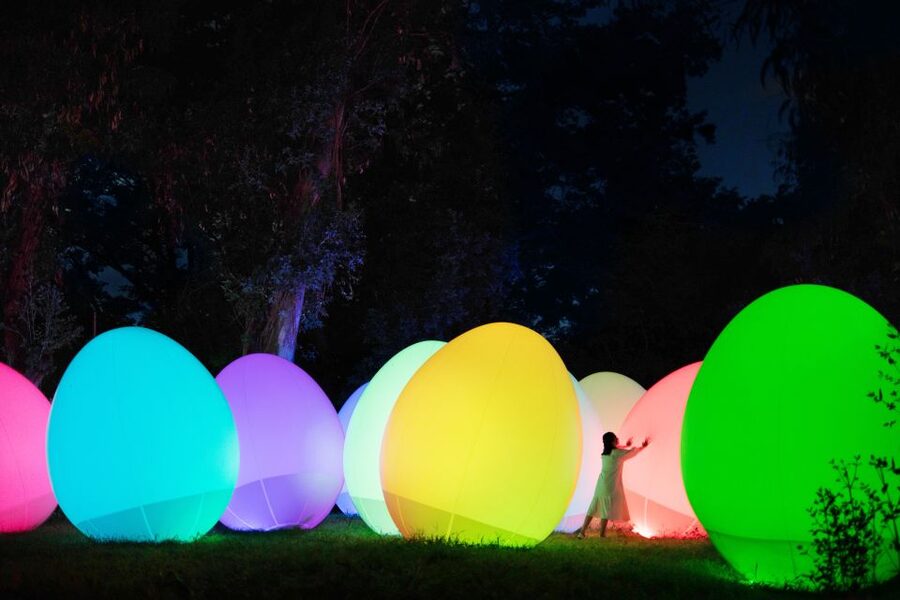 Osaka: teamLab Botanical Garden Entry Ticket - Who will enjoy this most?