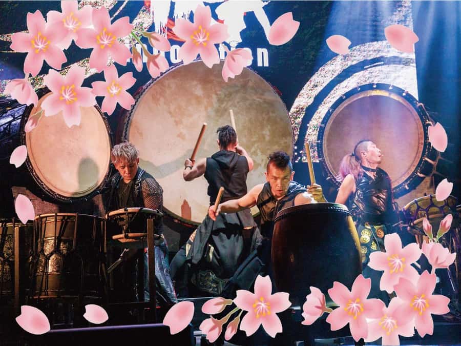 Osaka: UTAGE Japanese Taiko Live Show - Key points to know before booking
