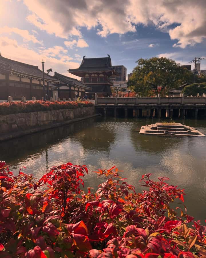 Osaka: Visit the must-see places. - Is $73 a fair price?