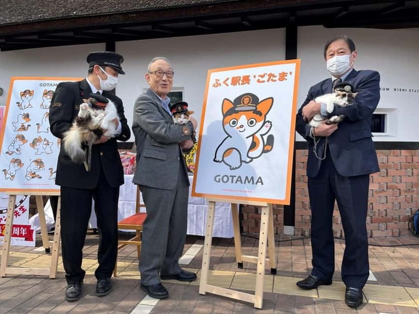 Osaka: Wakayama Cat Train, Seafood market, Hot Springs Tour - Quick takeaways for your Wakayama day