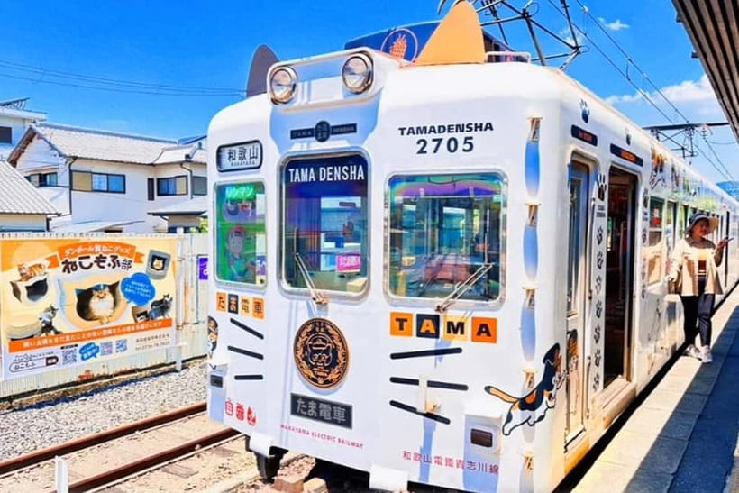 Osaka: Wakayama Cat Train, Seafood market, Hot Springs Tour - Why Kishi Station’s cat story matters