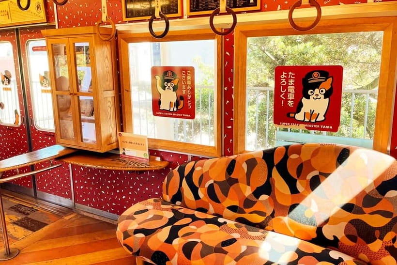 Osaka: Wakayama Cat Train, Seafood market, Hot Springs Tour - ToreTore Market turns lunch into an event