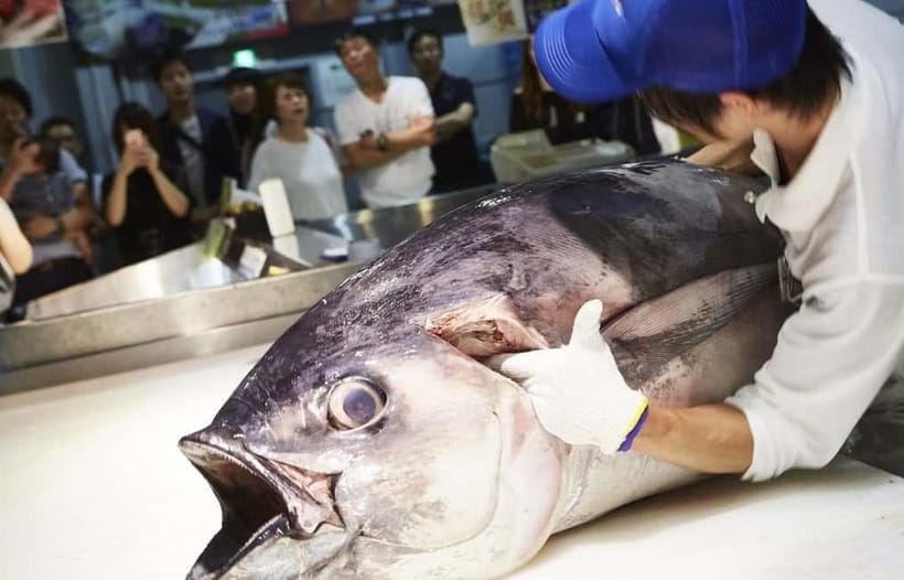 Osaka: Wakayama Cat Train, Seafood market, Hot Springs Tour - Toretore Onsen is an optional pause