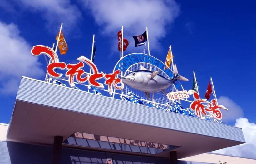 Osaka: Wakayama Cat Train, Seafood market, Hot Springs Tour - Senjojiki shows Shirahama at its wildest