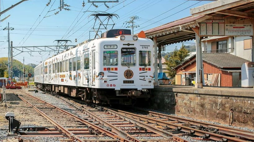 Osaka: Wakayama Cat Train, Seafood market, Hot Springs Tour - The cat train is cute, but keep expectations realistic