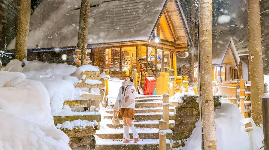 Penguin Fun & Snowmobile : Sapporo Winter (Asahiyama Zoo) - Riding through Hokkaido’s snowy interior