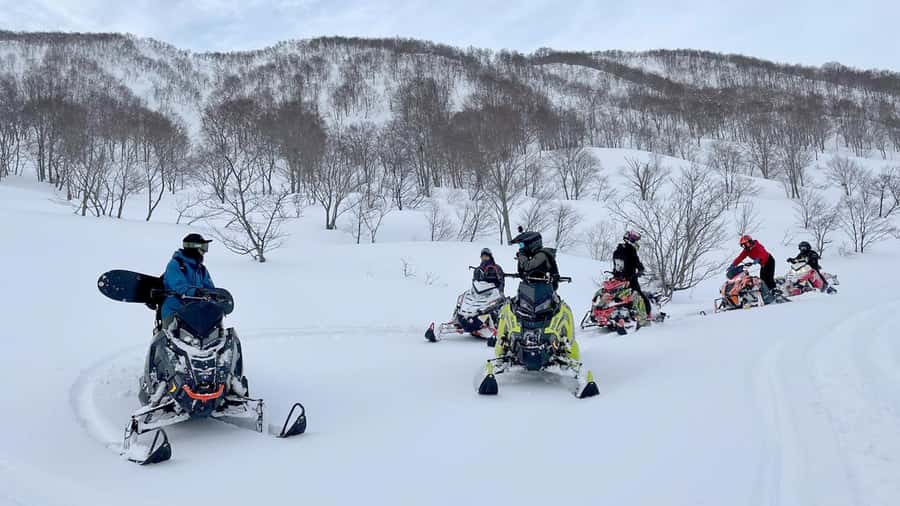 Penguin Fun & Snowmobile : Sapporo Winter (Asahiyama Zoo) - How the $58 price works out