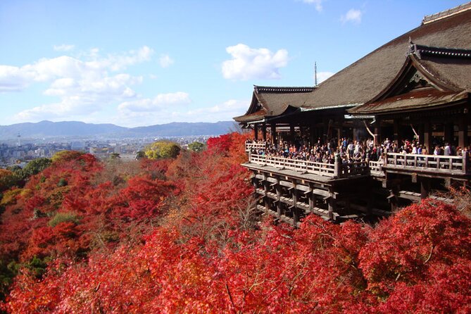PERFECT KYOTO 1-Day Bus Tour - Key points to know before booking