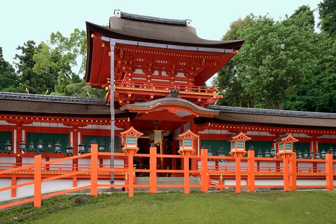 Perfect Nara Park Half-Day Bus Tour with English Speaking Guide - Feeding the deer in Nara Park