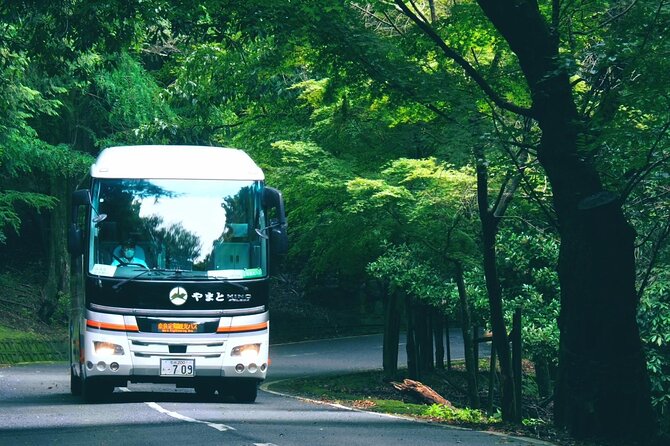 Perfect Nara Park Half-Day Bus Tour with English Speaking Guide - Timing, drop-offs, and practical planning