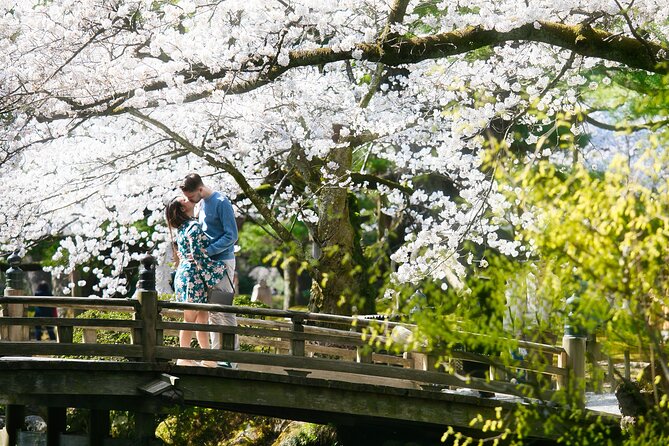 Photoshoot session by professional photographer in Kanazawa - Picking between Higashi Chaya and Kenrokuen Garden