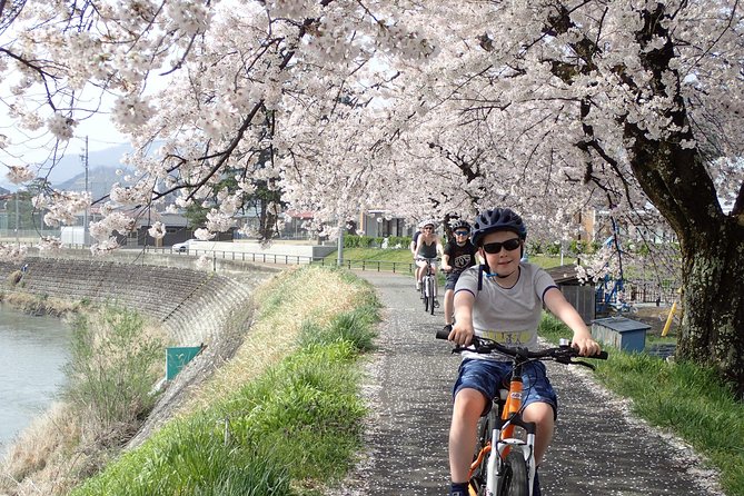 Private Afternoon Cycling Tour in Hida-Furukawa - Is $214.48 a fair price?