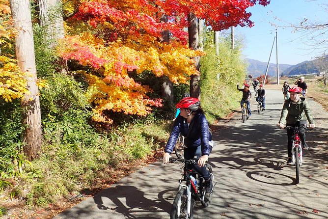 Private Afternoon Cycling Tour in Hida-Furukawa - The market and the everyday side of Hida