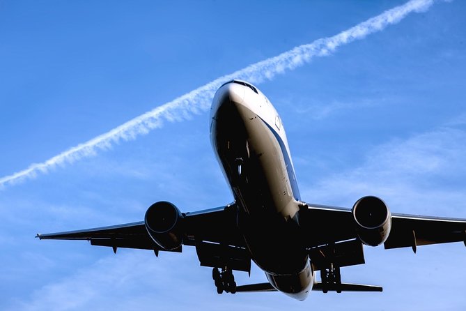 Private Arrival Transfer : Narita International Airport to Central Tokyo City - Why the flight details matter