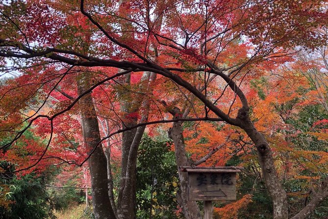 Private car tour in Kyoto (up to 4) - Kosuke’s role is more than transportation