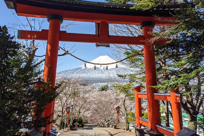Private Car Tour to Mt. Fuji Lake Kawaguchiko or Hakone - What this private Fuji and Hakone tour really offers