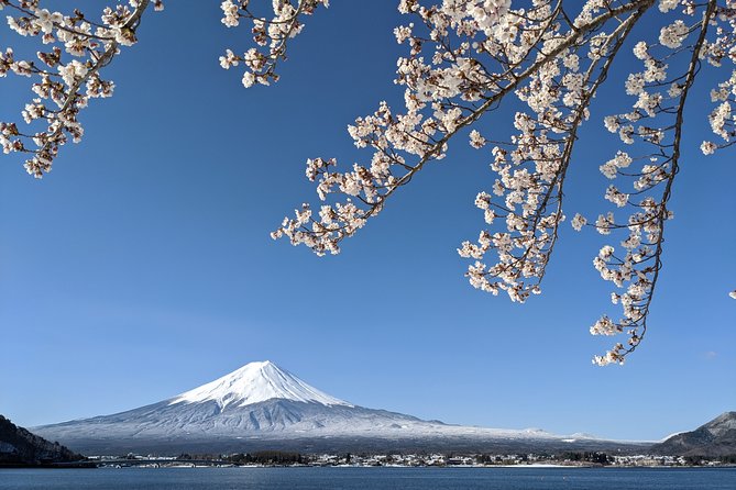Private Car Tour to Mt. Fuji Lake Kawaguchiko or Hakone - Add culture at the World Heritage Center and Fuji Sengen Shrine