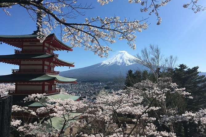 Private Car Tour to Mt. Fuji Lake Kawaguchiko or Hakone - See old Japan at Saiko Iyashi no Sato Nemba