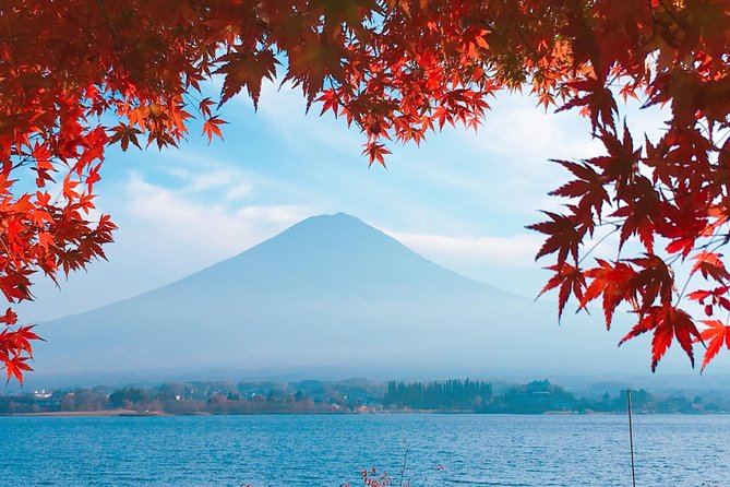 Private Car Tour to Mt. Fuji Lake Kawaguchiko or Hakone - Walk carefully through Aokigahara’s lava caves