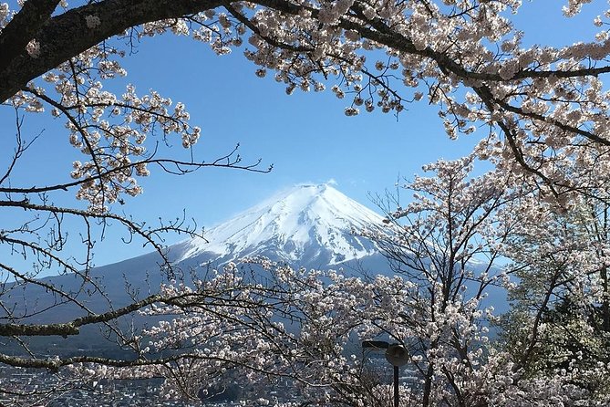 Private Car Tour to Mt. Fuji Lake Kawaguchiko or Hakone - Add local food, sake, fruit, or flowers