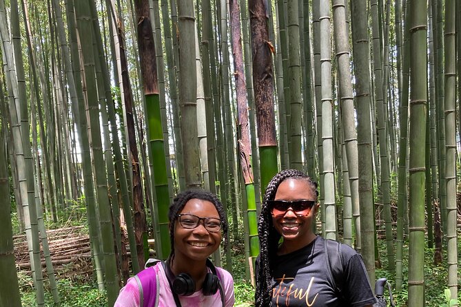 Private Custom Tour: Kyoto in One Day - Kiyomizu-dera and Kyoto’s preserved streets