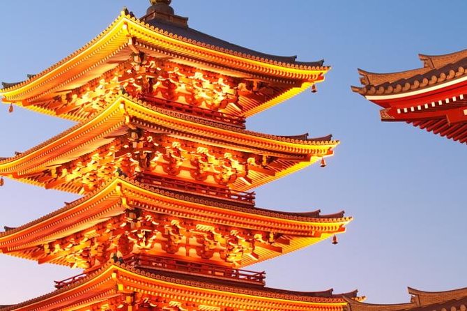 Private Custom Tour: Tokyo in a Day - Why a Custom Tokyo Day Can Be So Useful