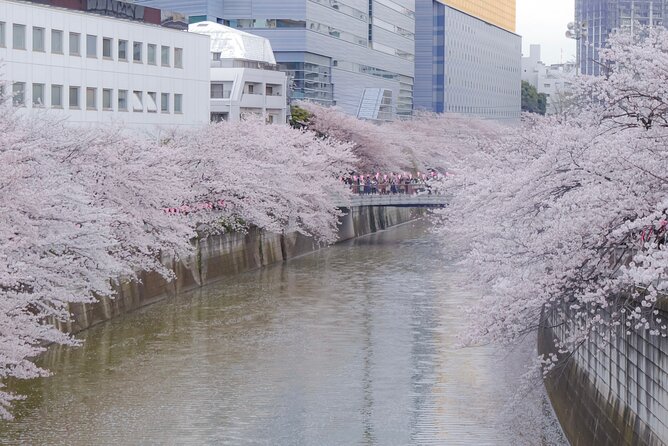 Private Custom Tour: Tokyo in a Day - Meiji Jingu, Harajuku, and Takeshita Street