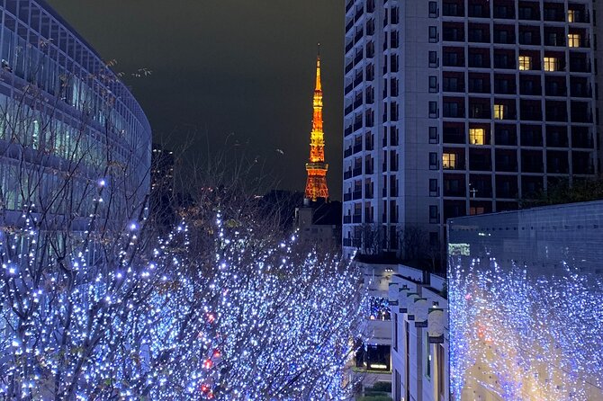 Private Custom Tour: Tokyo in a Day - Yanaka Ginza and the Feel of Old Neighborhood Tokyo