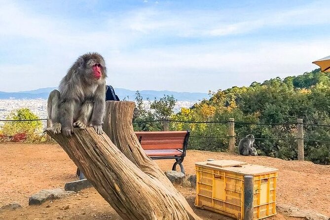 Private Day Tour - Kyoto Arashiyama & Bamboo Forest Perfect Tour! - Jojakko-ji for greenery and seasonal color