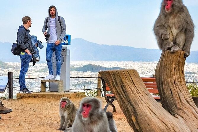 Private Day Tour - Kyoto Arashiyama & Bamboo Forest Perfect Tour! - Monkey Park Iwatayama is the day’s active finish