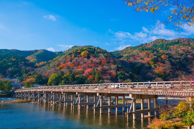 Private Day Tour - Kyoto Arashiyama & Bamboo Forest Perfect Tour! - Nonomiya Shrine and the first bamboo paths