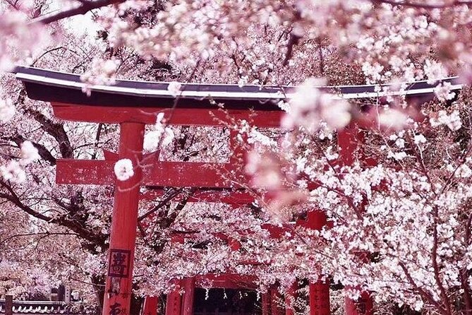 Private departure transfer from Kyoto city to Kansai International airport - Luggage rules and vehicle choice