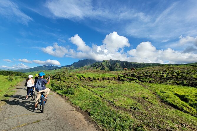 Private E-MTB guided cycling around Mt. Aso volcano & grasslands - Key things to know before booking