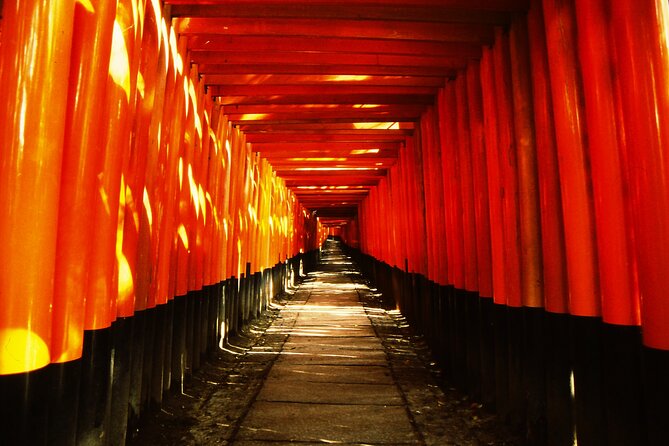 Private eBike Tour Exploring Fushimi with Torii Red Gate Ride - Why a bike works so well in southern Kyoto