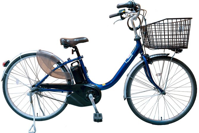 Private eBike Tour Exploring Fushimi with Torii Red Gate Ride - Guides, pace, and the human side of the ride