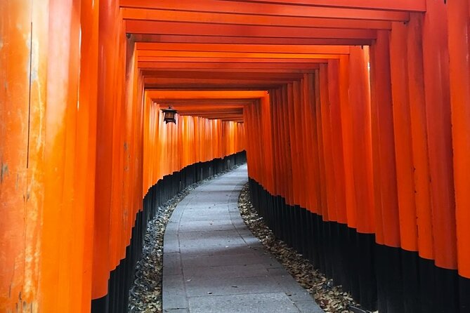 Private eBike Tour Exploring Fushimi with Torii Red Gate Ride - Who should book this Kyoto e-bike tour