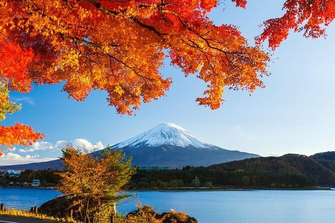 Private Fuji Full-day Car Tour with Hotel Pickup -Local Guide - The value of $404.99 per group