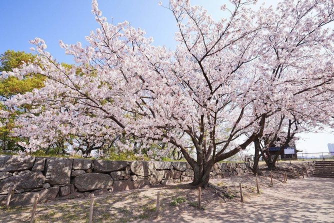 Private Fukuoka Tour with a Local, Highlights & Hidden Gems 100% Personalised - Hakata old town, temples, and cultural activities