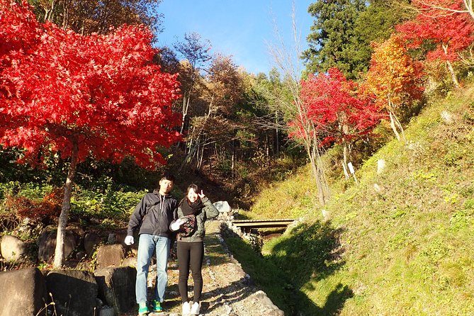 Private-group Morning Cycling Tour in Hida-Furukawa - Starting at 8:30 for a 9:00 Ride