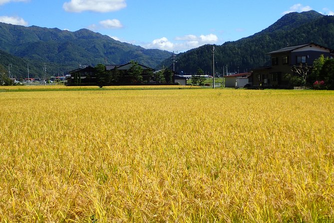 Private-group Morning Cycling Tour in Hida-Furukawa - Weather Flexibility From a Helpful Detail